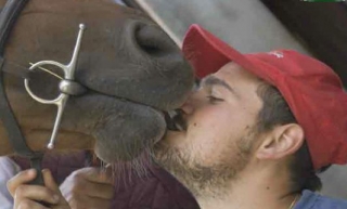  Amor por los caballos 